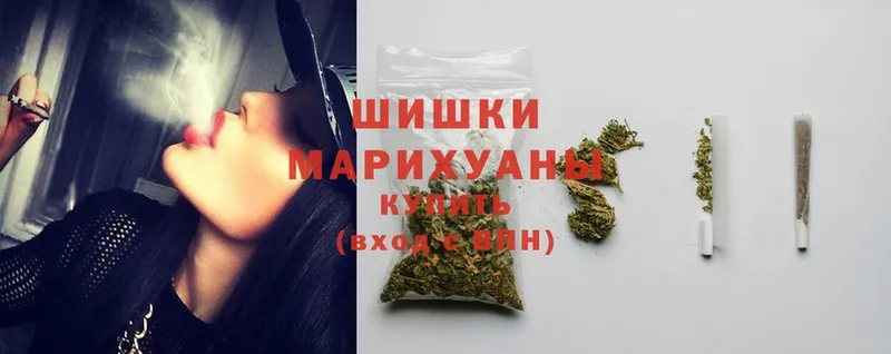 продажа наркотиков  Сольвычегодск  Марихуана SATIVA & INDICA 